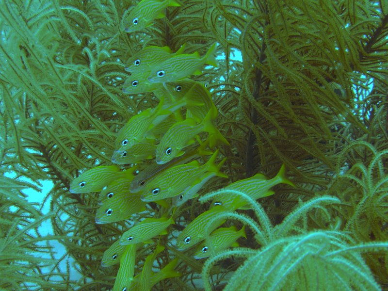 Curacao 04-12 171.JPG